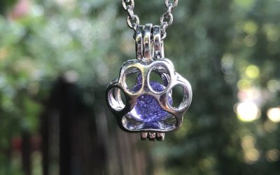 New Paw Locket – Now Available
